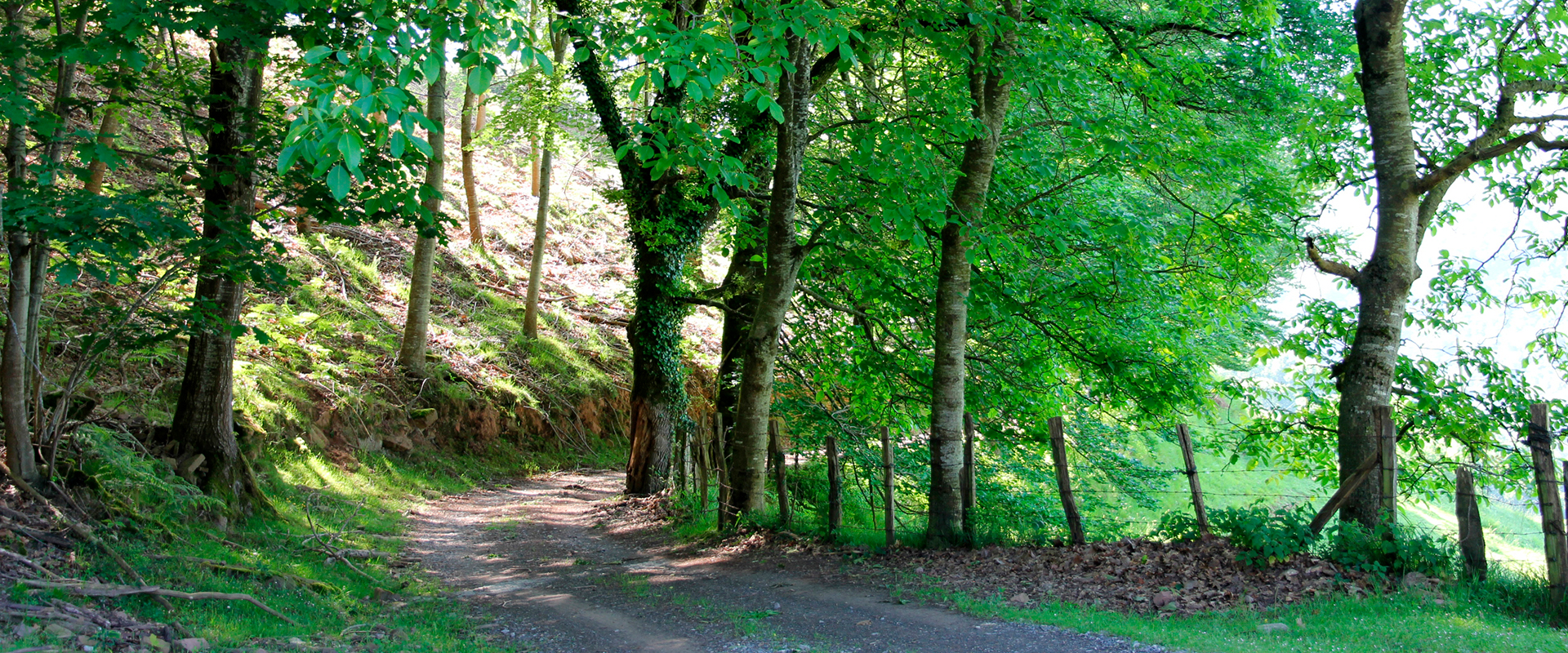 Descubre el Valle de Baztan